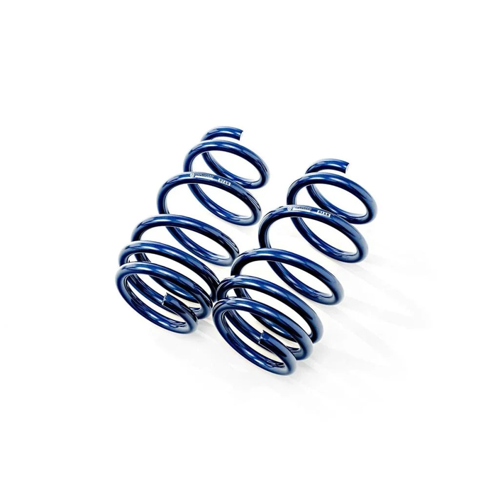 Lowering Springs for Tesla Model Y